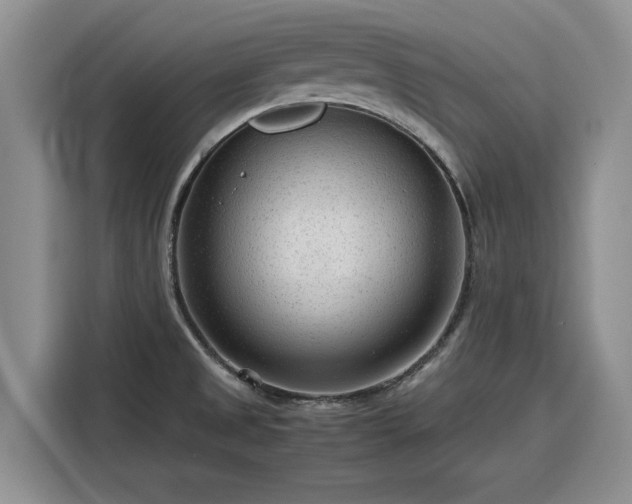 X0000116311525200912071258