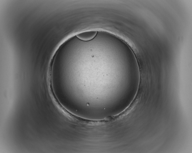 X0000116311526200912071258