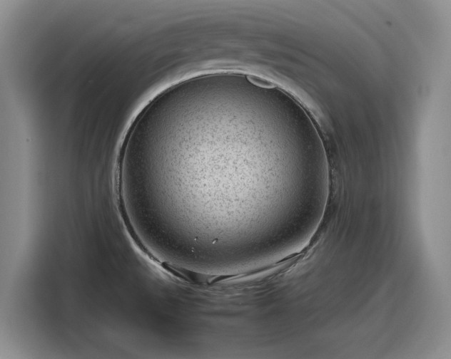 X0000116311527200912071258