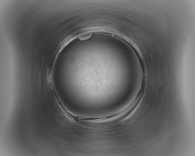 X0000116311529200912071258