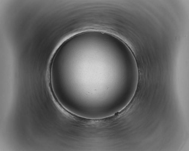 X0000116311531200912071258