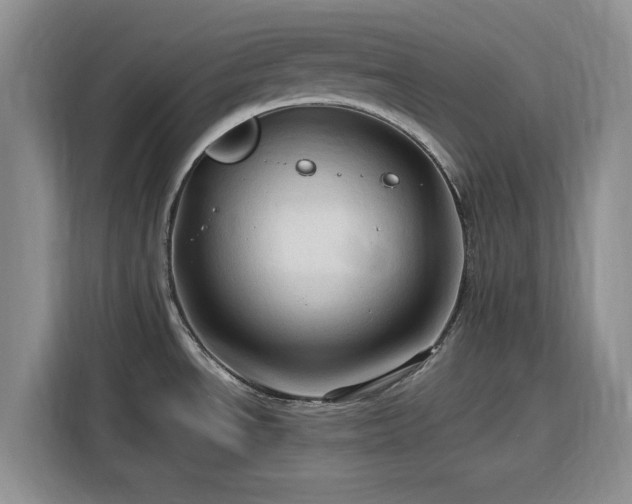 X0000116311534200912071258