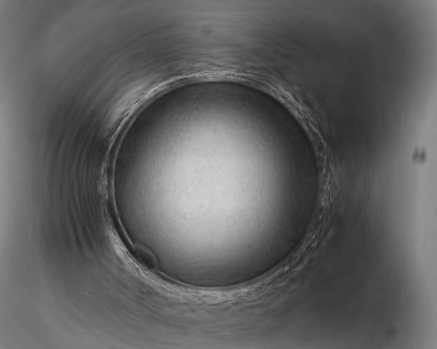 X0000116310002200912141409