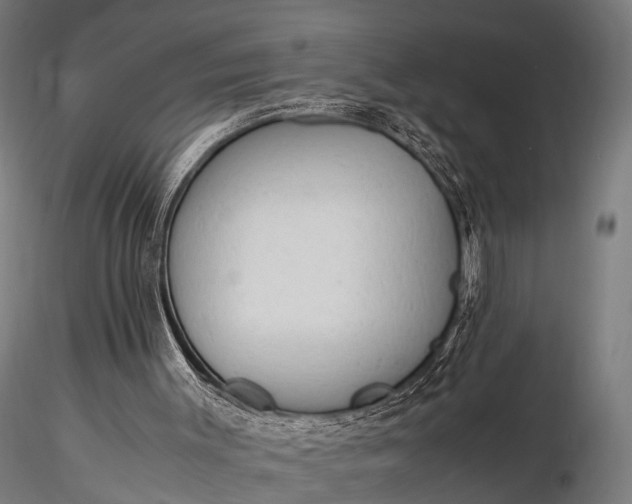 X0000116310003200912141409