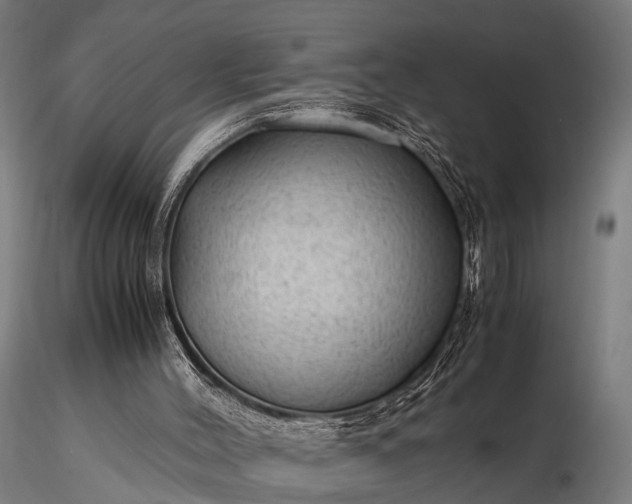 X0000116310004200912141409