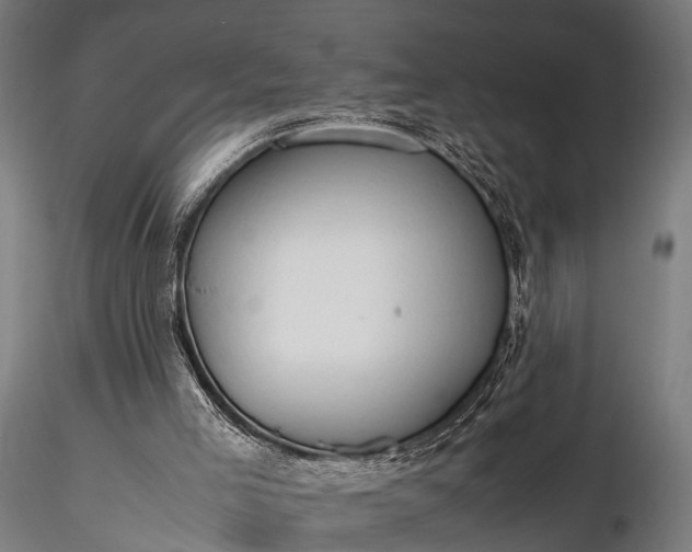 X0000116310005200912141409