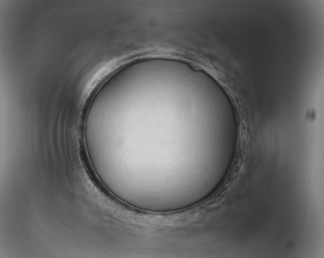 X0000116310007200912141409