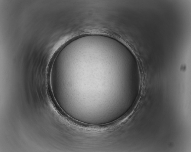 X0000116310008200912141409