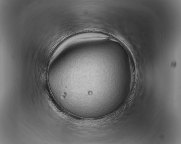 X0000116310009200912141409