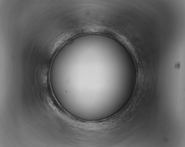 X0000116310010200912141409