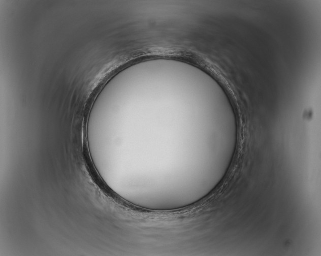 X0000116310011200912141409