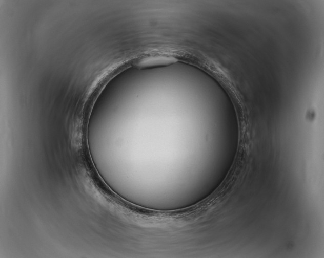 X0000116310012200912141409