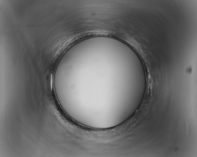 X0000116310013200912141409