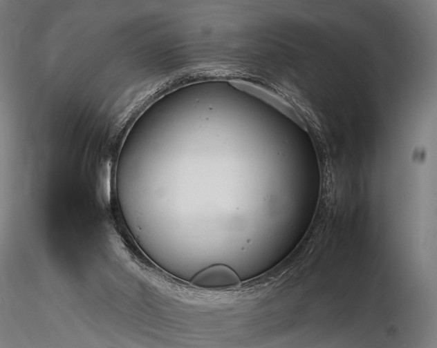 X0000116310014200912141409