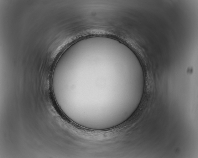 X0000116310015200912141409