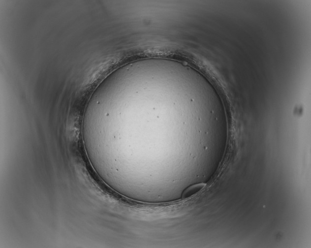 X0000116310017200912141409