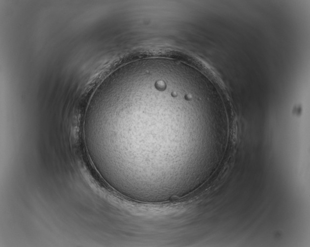 X0000116310018200912141409