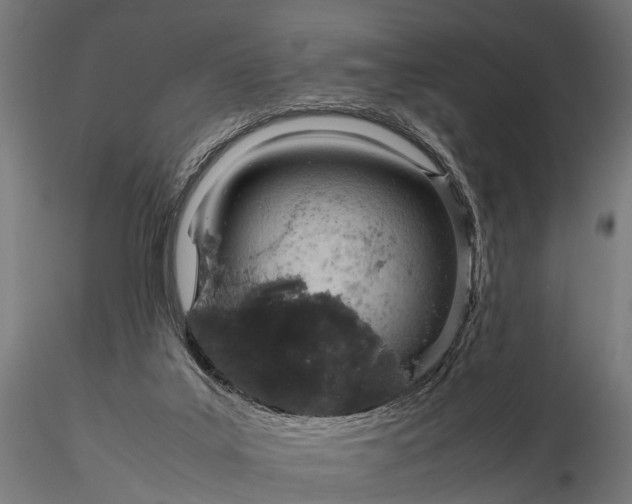 X0000116310019200912141409