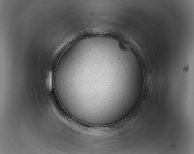 X0000116310020200912141409