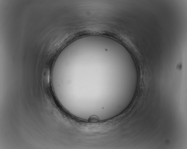 X0000116310021200912141409