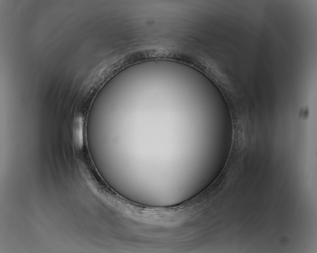 X0000116310022200912141409