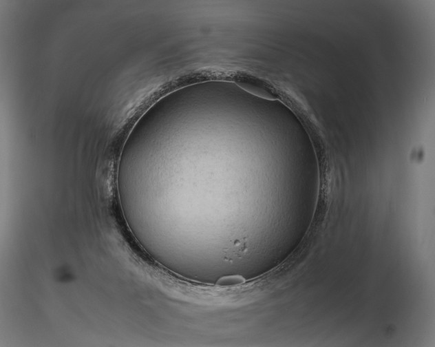 X0000116310023200912141409