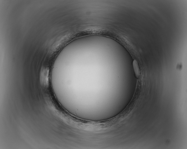 X0000116310024200912141409