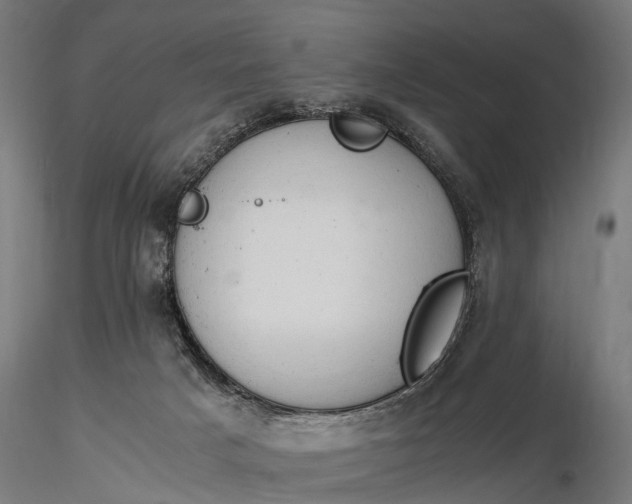 X0000116310025200912141409