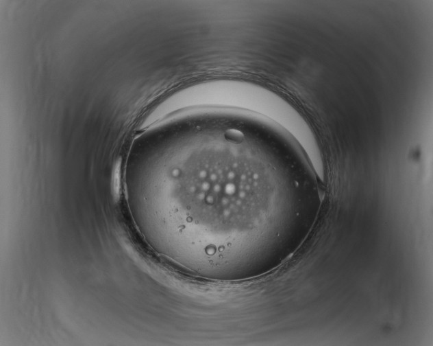 X0000116310028200912141409