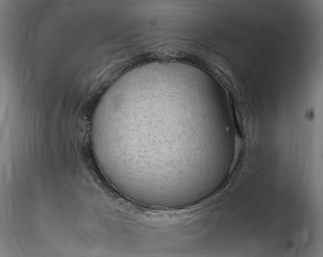 X0000116310029200912141409