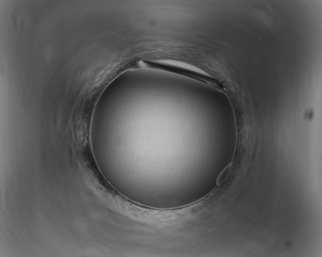 X0000116310031200912141409