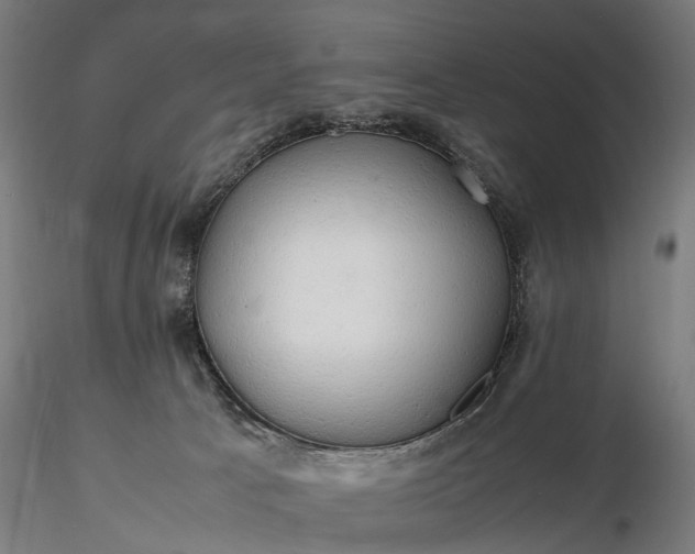 X0000116310033200912141409