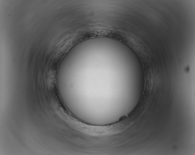 X0000116310034200912141409