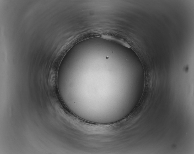 X0000116310036200912141409