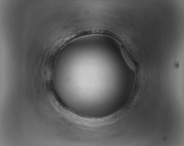 X0000116310039200912141409