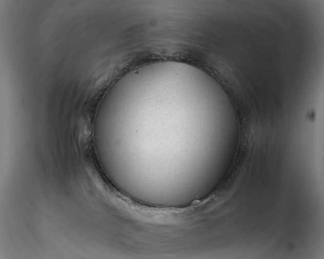 X0000116310040200912141409