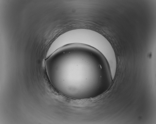 X0000116310041200912141409