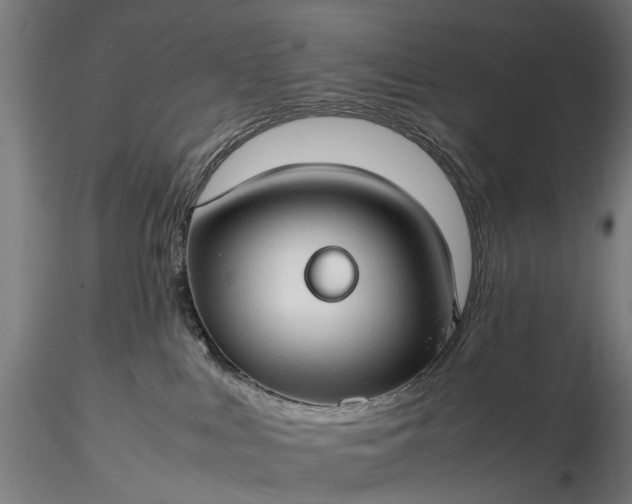 X0000116310043200912141409