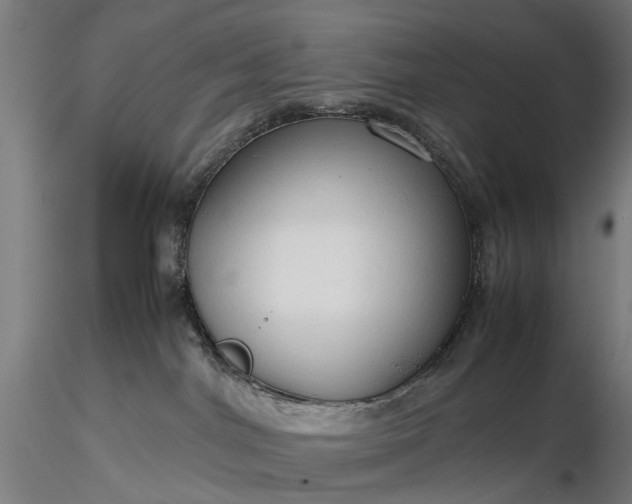 X0000116310044200912141409