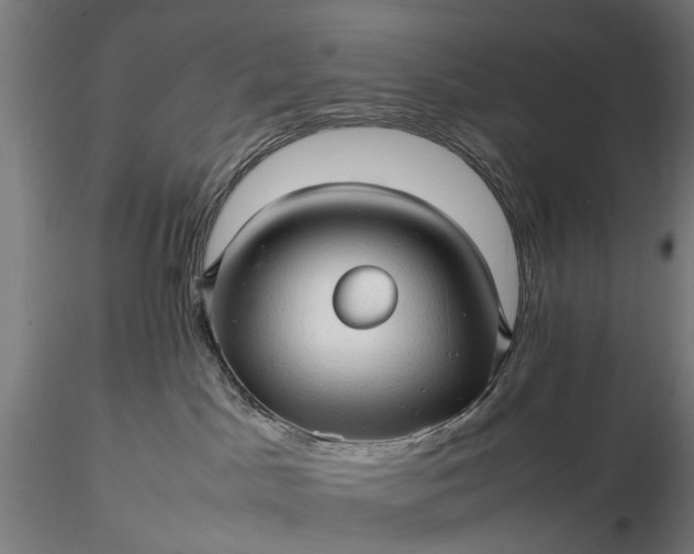 X0000116310045200912141409