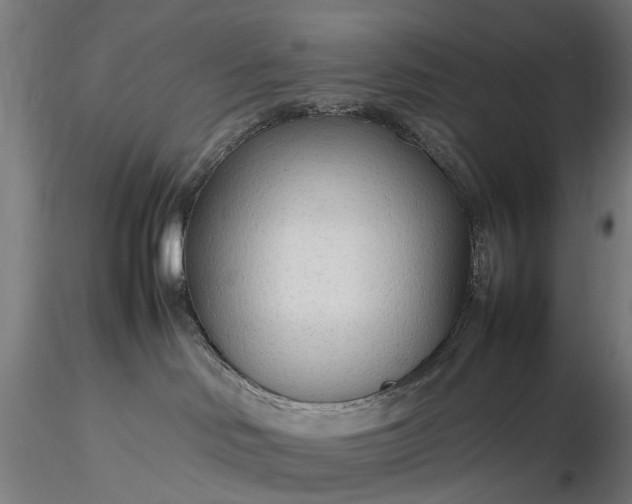 X0000116310046200912141409