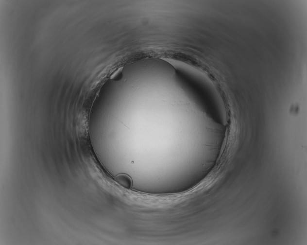 X0000116310048200912141409