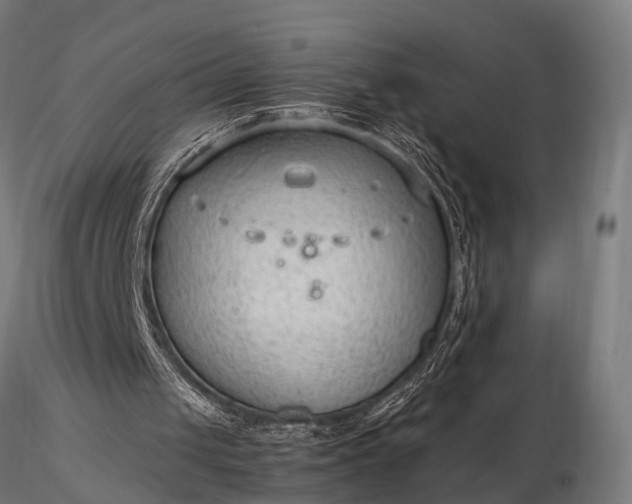 X0000116310049200912141408