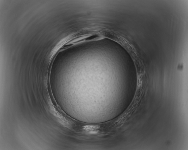 X0000116310051200912141408