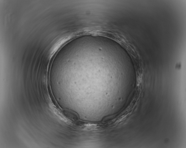 X0000116310052200912141408