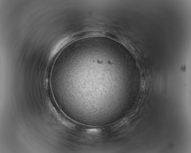 X0000116310053200912141408