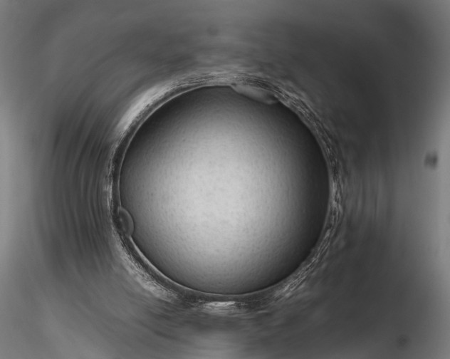 X0000116310054200912141408