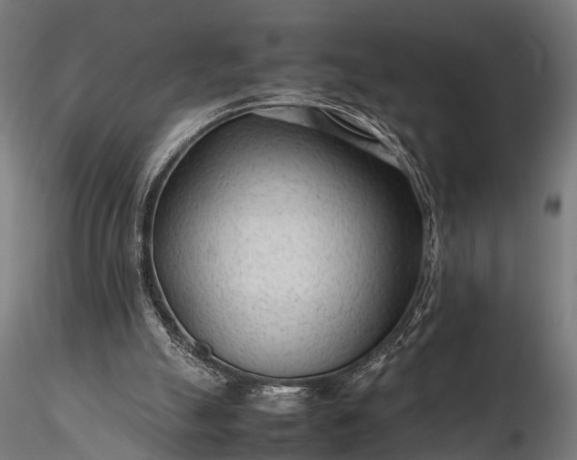 X0000116310055200912141408