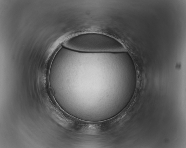 X0000116310056200912141408