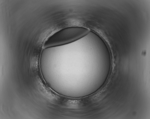 X0000116310057200912141408